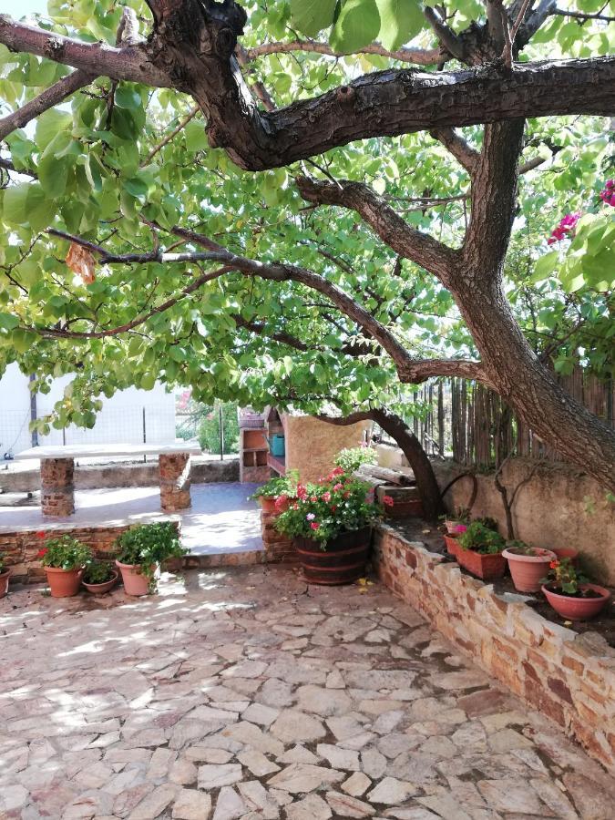 Villa Le Ginestre La Caletta Exteriör bild