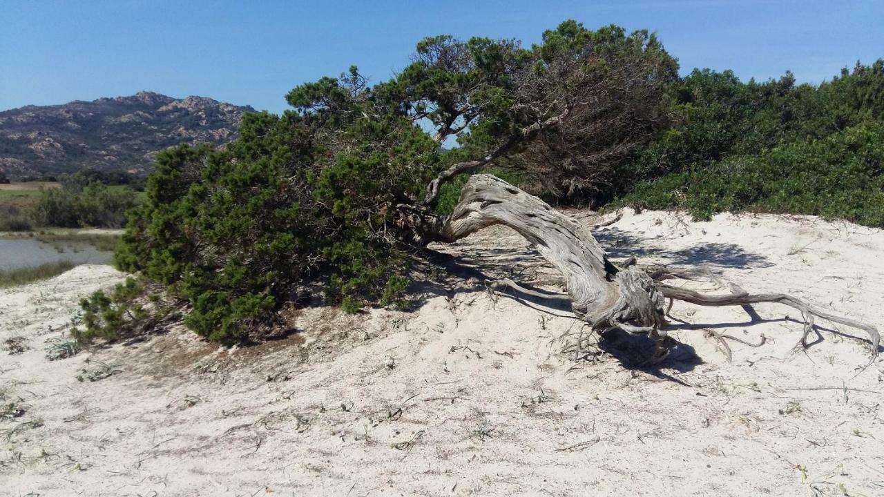 Villa Le Ginestre La Caletta Exteriör bild